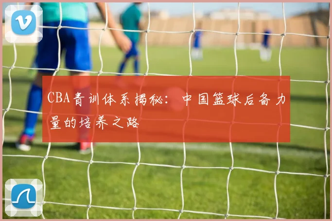 CBA青训体系揭秘:中国篮球后备力量的培养之路