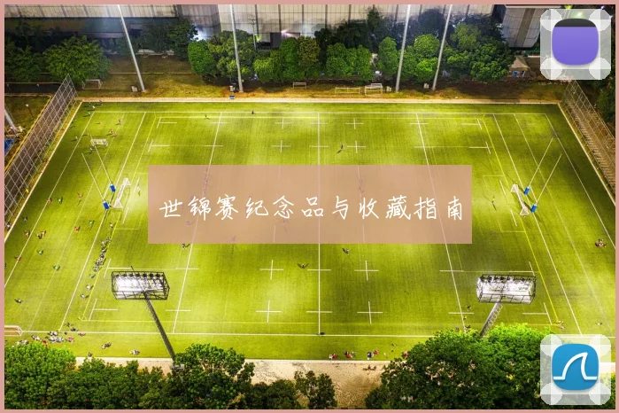 世锦赛纪念品与收藏指南