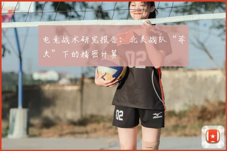 电竞战术研究报告:北美战队“莽夫”下的精密计算