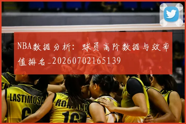 NBA数据分析:球员高阶数据与效率值排名_20260702165139