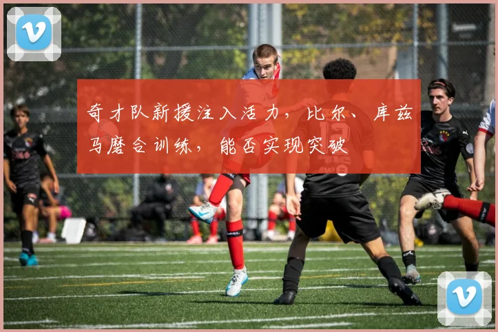 奇才队新援注入活力，比尔、库兹马磨合训练，能否实现突破